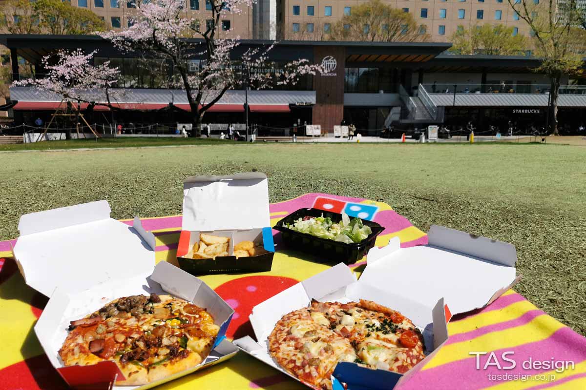 お花見セットでお花見